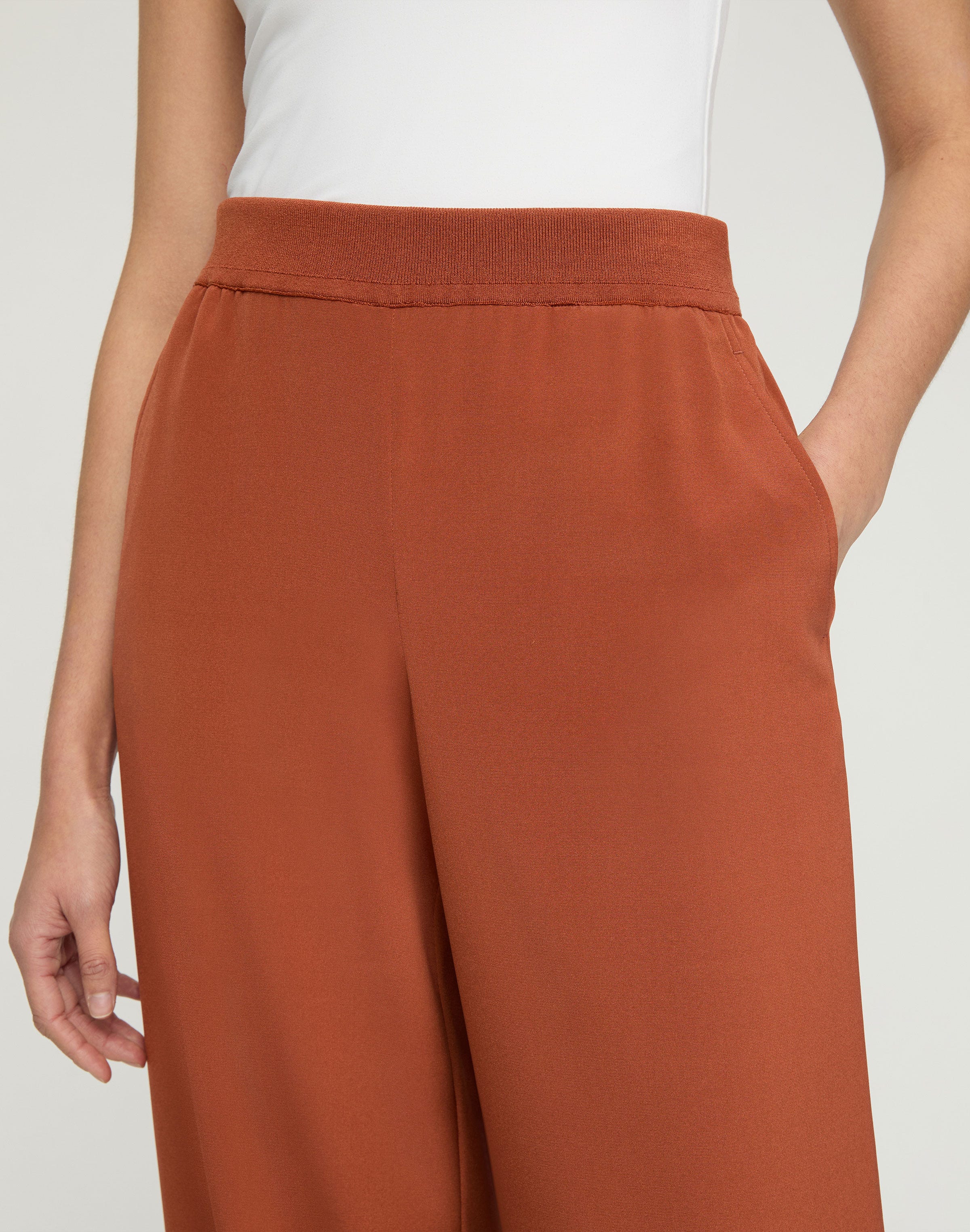 Plus-Size Organic Silk Stretch Georgette Knit Waist Riverside Pant
